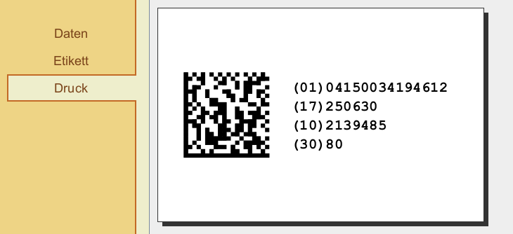 Screenshot GS1 DataMatrix Etikett